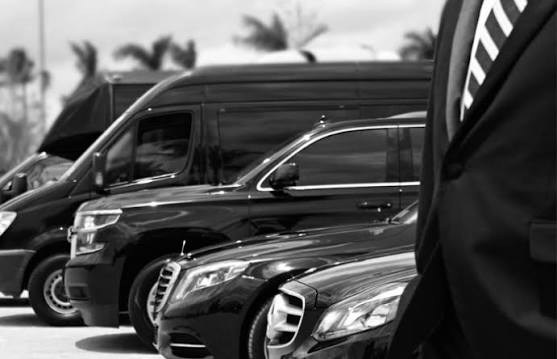 Chauffeur in a dark suit standing before a fleet of black vehicles, in black and white