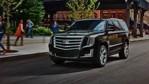 Black Cadillac Escalade driving through a city street